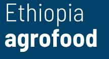 埃塞俄比亚亚的斯亚贝巴国际食品展览会(ETHIOPIA AGROFOOD 202
