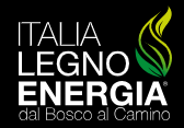 意大利维罗纳国际能源展览会(ITALIA LEGNO ENERGIA)