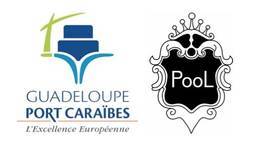 法国皮特尔角城国际艺术文化展览会(POOL ART FAIR - GUADELO